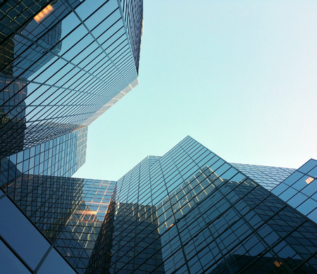 Business Lines