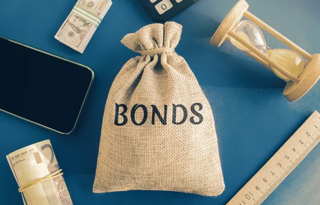 Surety bond bag